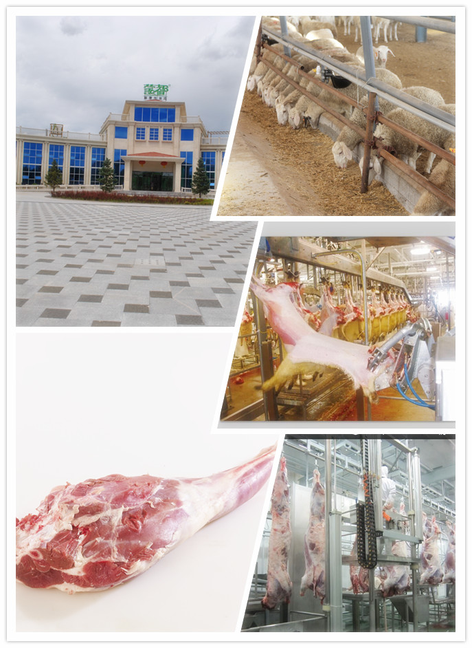 1488186311304406.jpg 1.jpg