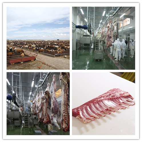 1488333004116641.jpg 1488176512921654.jpg