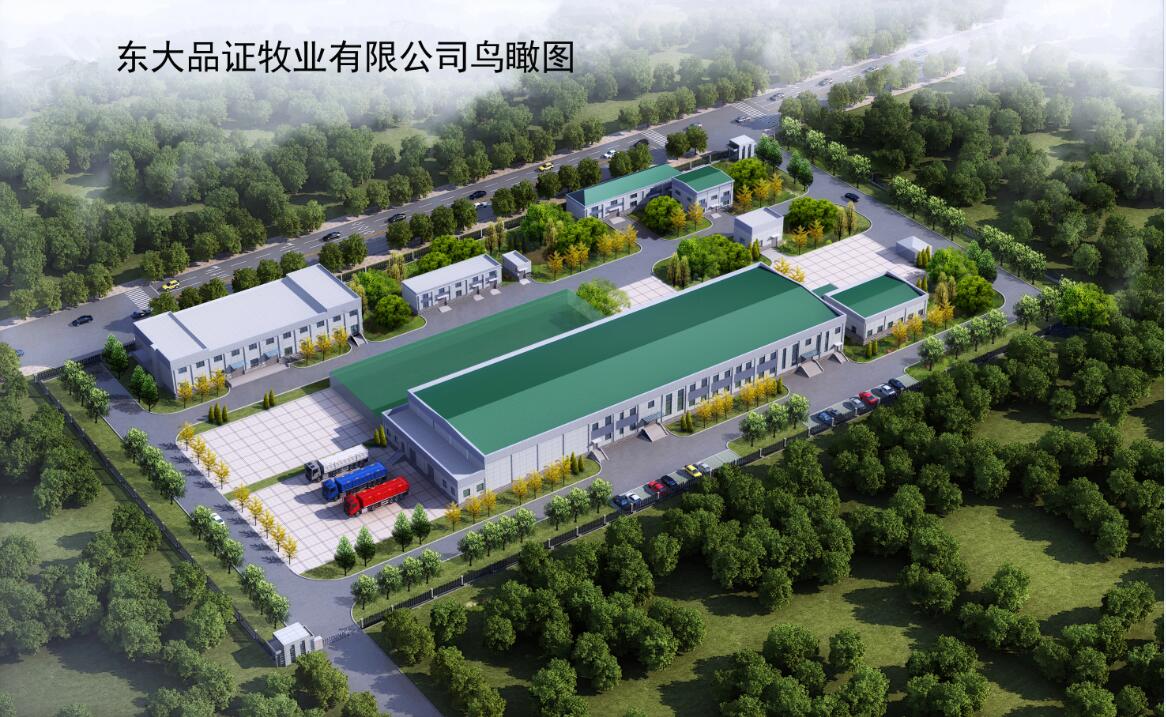 1527780103151951.jpg 1.jpg